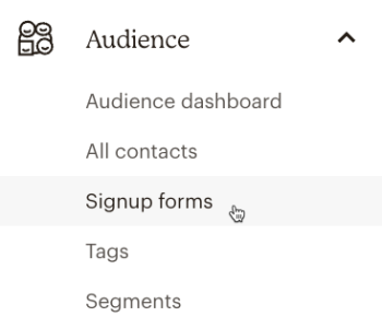 Mailchimp Audience